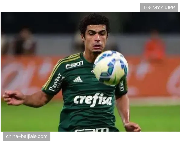 戈亚斯防守稳固性评估 路易斯-费利佩与尼古拉斯-维奇亚托配合